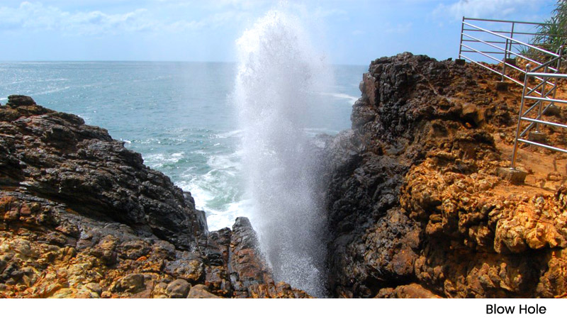 Blow Hole