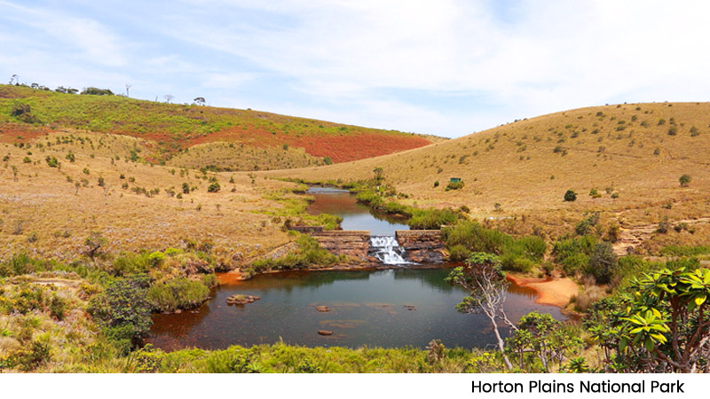 Horton Plains