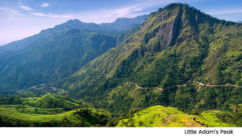 Littl Adams Peak