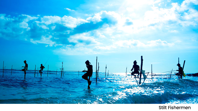 Stilt Fishermen