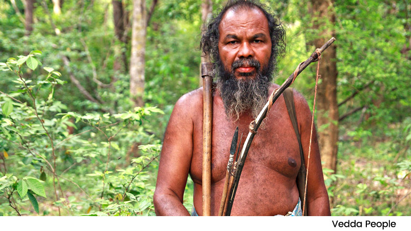 Vedda People
