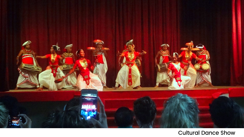 Cultural Dance Show