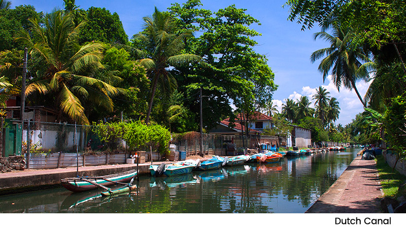 Dutch Canal