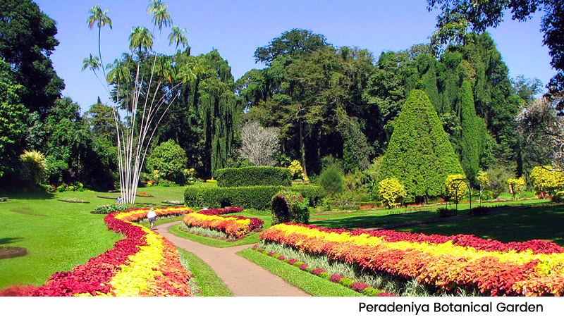 Peradeniya Botanical Garden