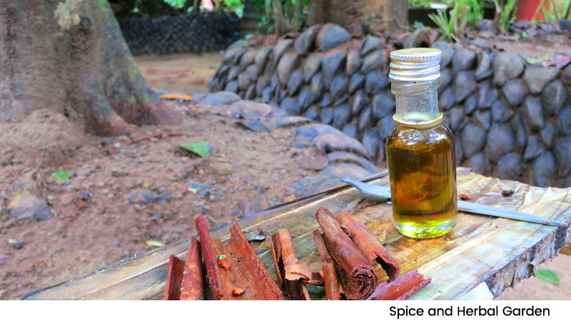 Spice and Herbal Garden