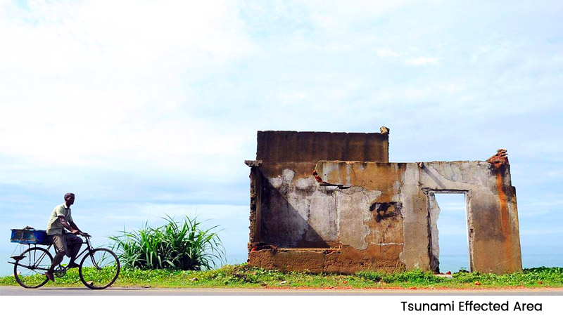 Tsunami Effected Area