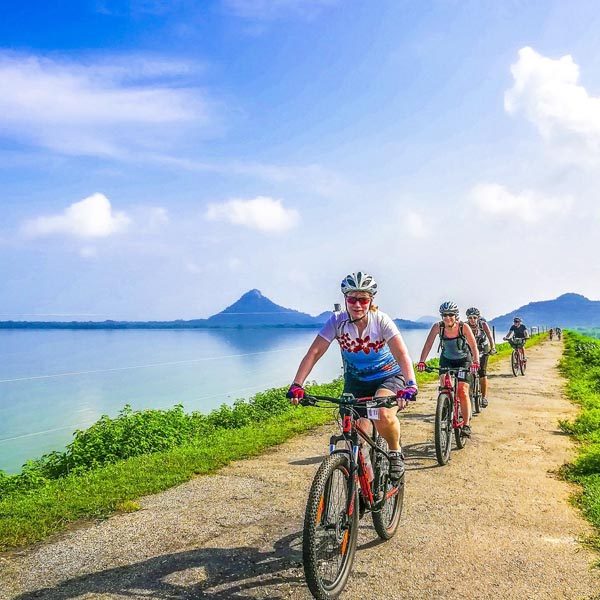 Cycling and Mountain Biking