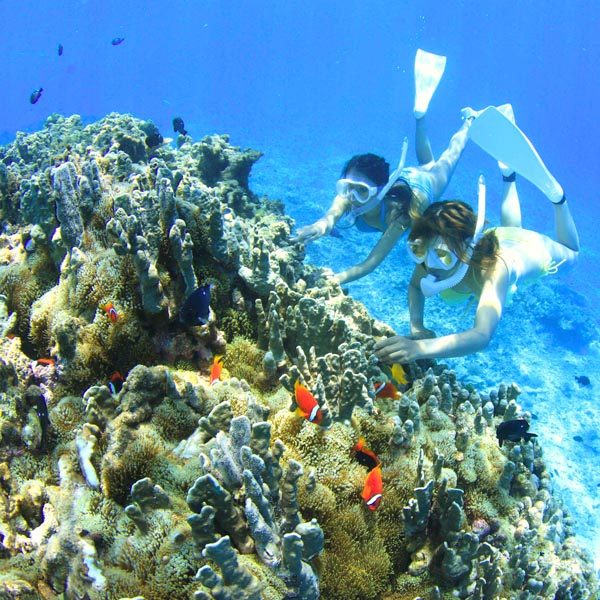 Diving and Snorkeling